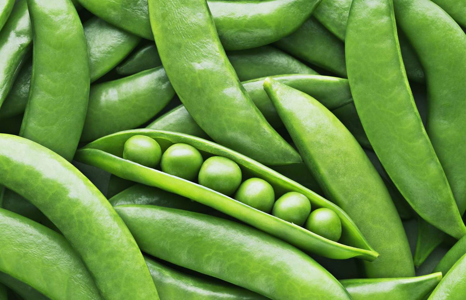 green Peas and pea pods
