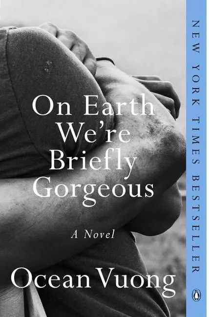 on earth were briefly gorgeous book cover