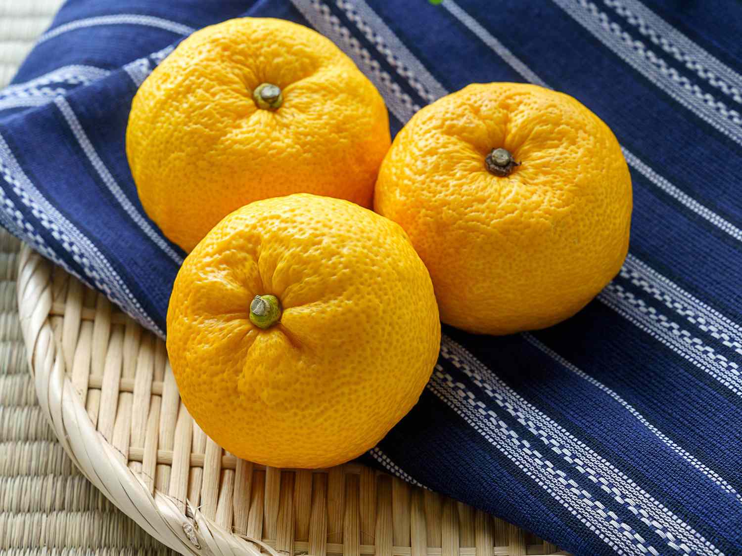 Japanese citron 'Yuzu' fruits isolated on light background