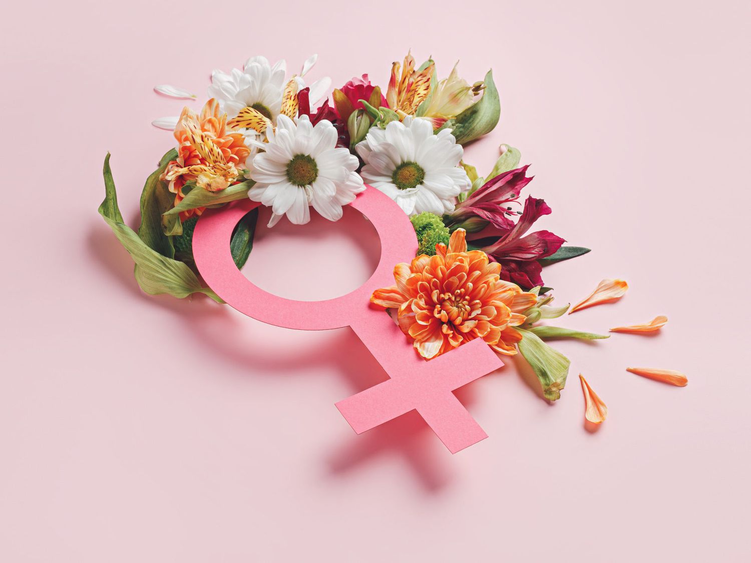 Female symbol with fresh spring flowers and leaves against pastel pink background