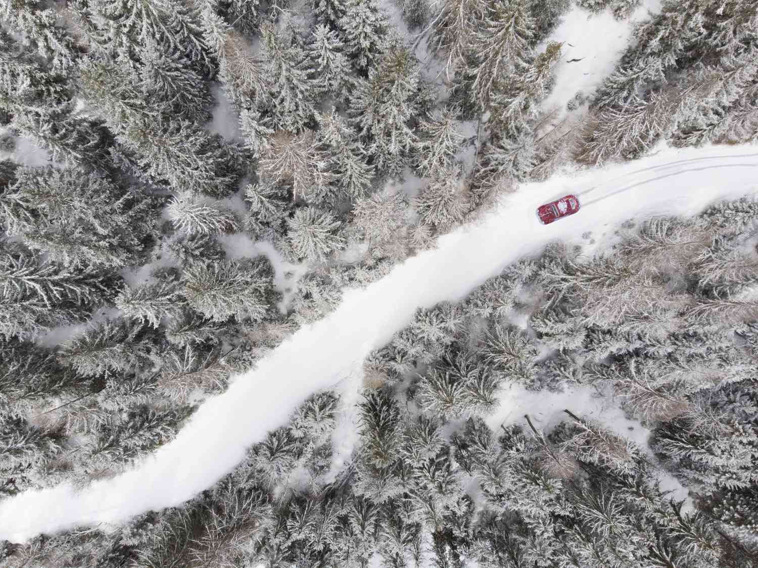 car on snowy road through forest