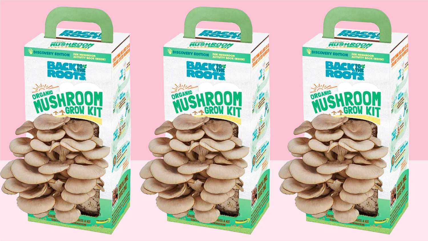 Back to the Roots Organic Mushroom Growing Kit, Harvest Gourmet Oyster