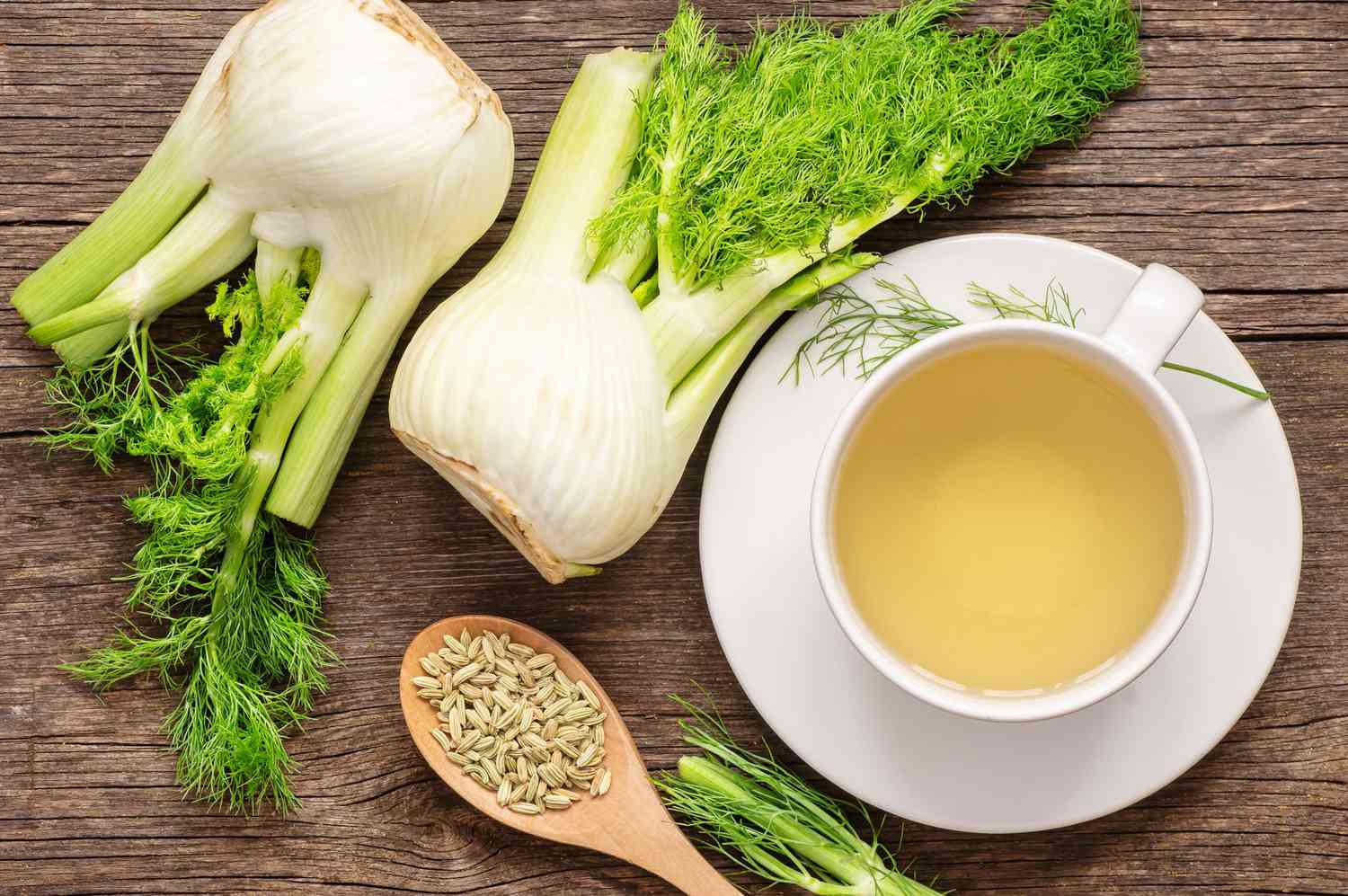 Fennel tea health benefits: Herbal infusion fennel tea in glass cup or mug with dried fennel