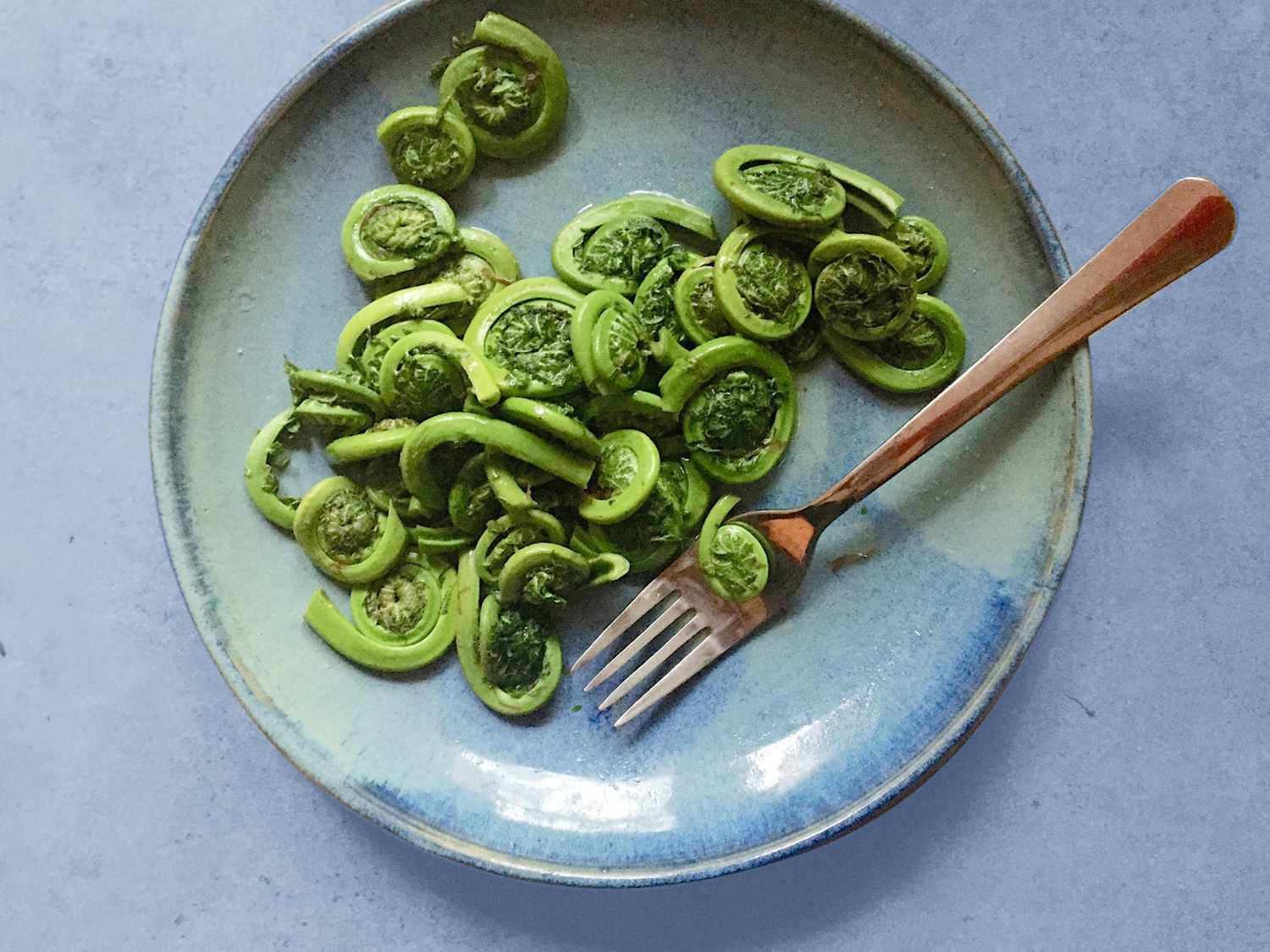 Steamed fiddleheads with fork on blue stoneware plate