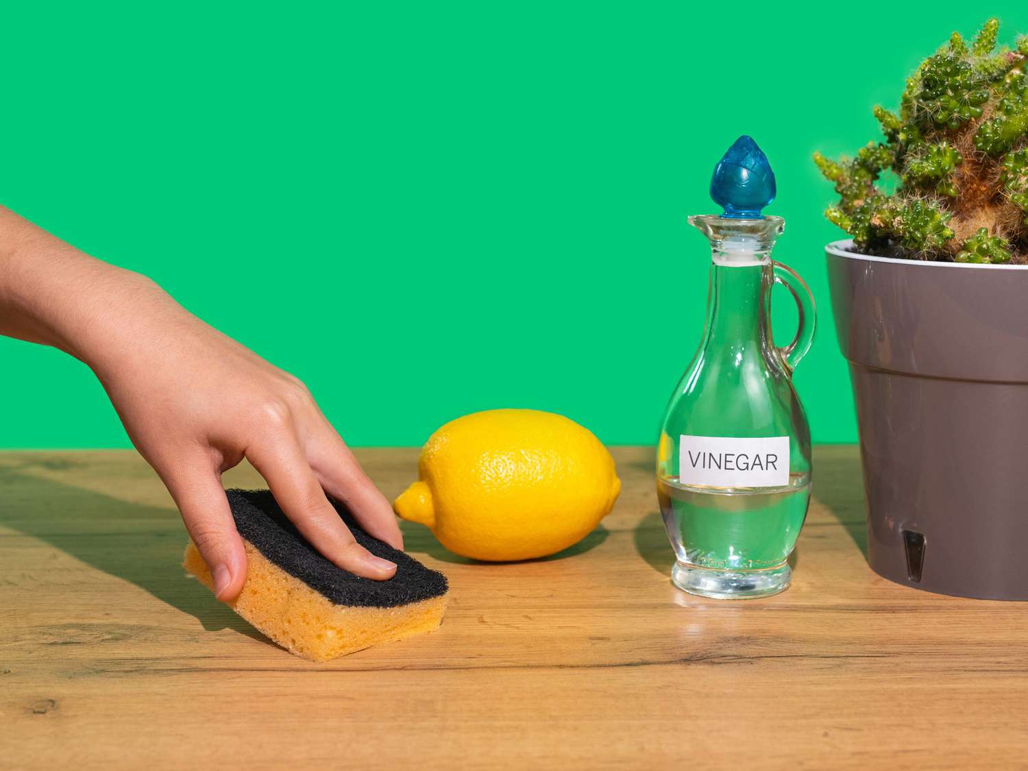 A woman's hand wipes a wooden table with a sponge and a natural non-toxic agent. Ecological home cleaning products. Vinegar, lemon. Green background.