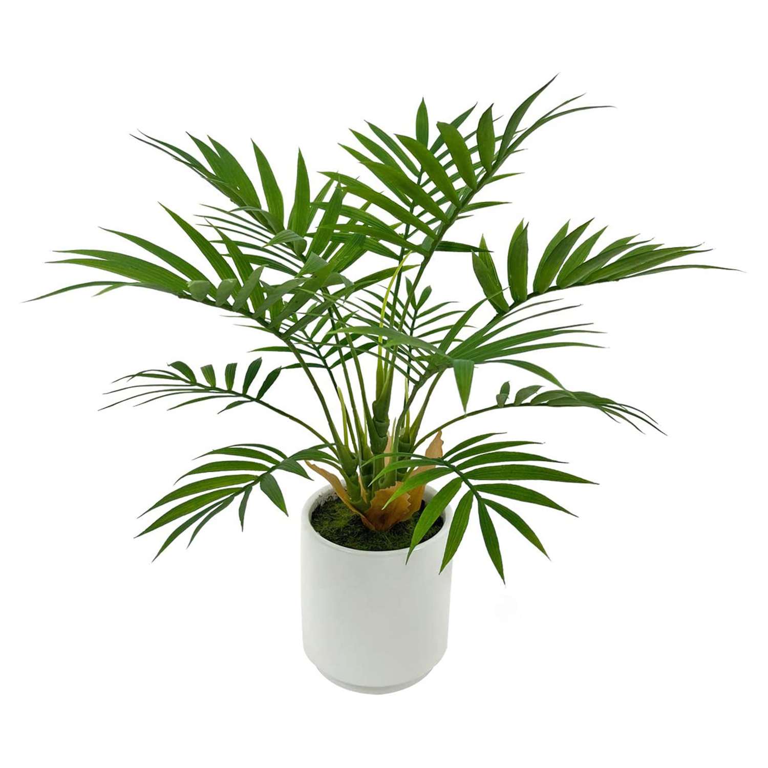 BESAMENATURE Artificial Palm Tree Plant