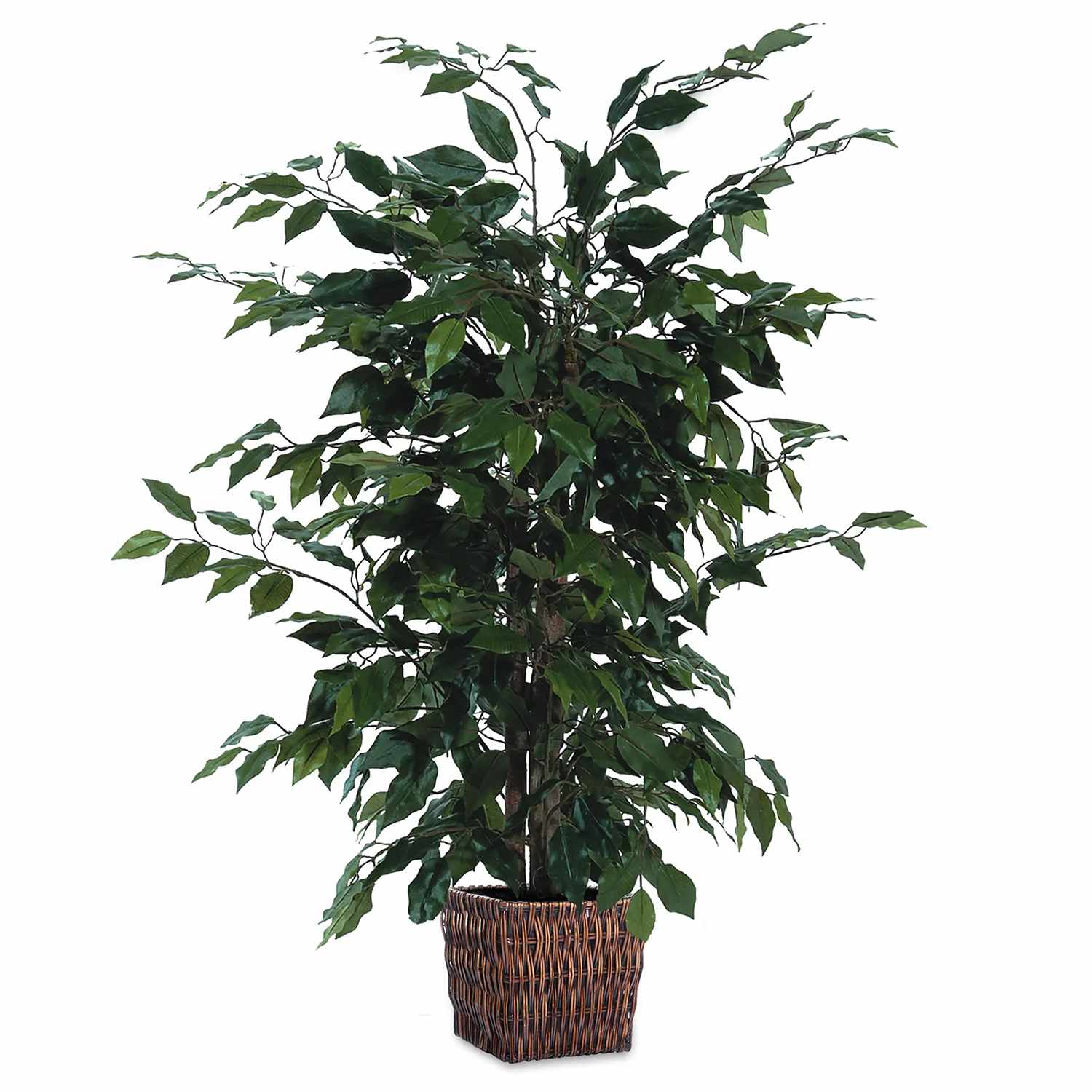 Fabric Ficus Bush with Square Willow Basket