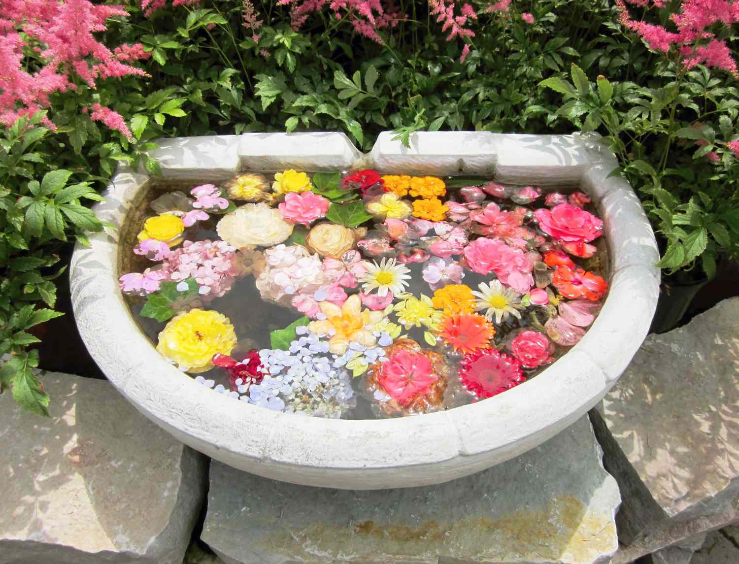 Garden birdbath filled with colorful flower petals