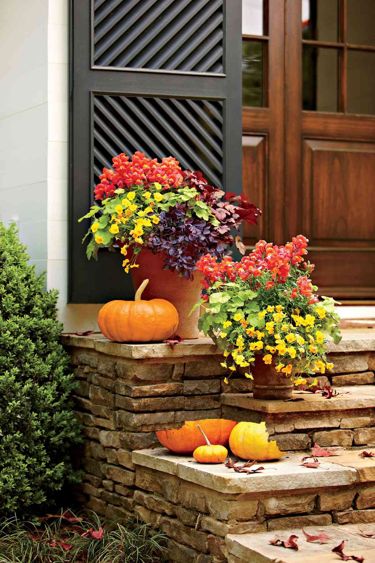 Plant a Vibrant Fall Container