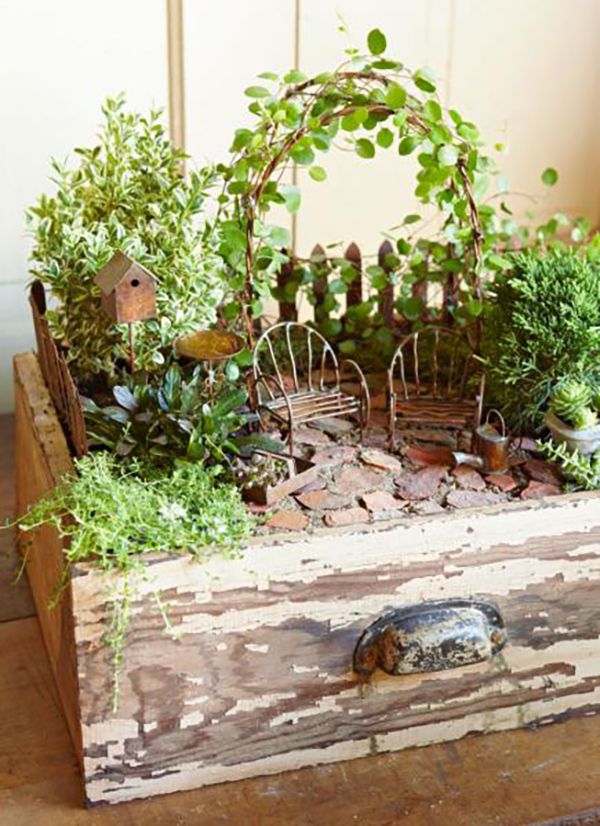 Magical Miniature Garden