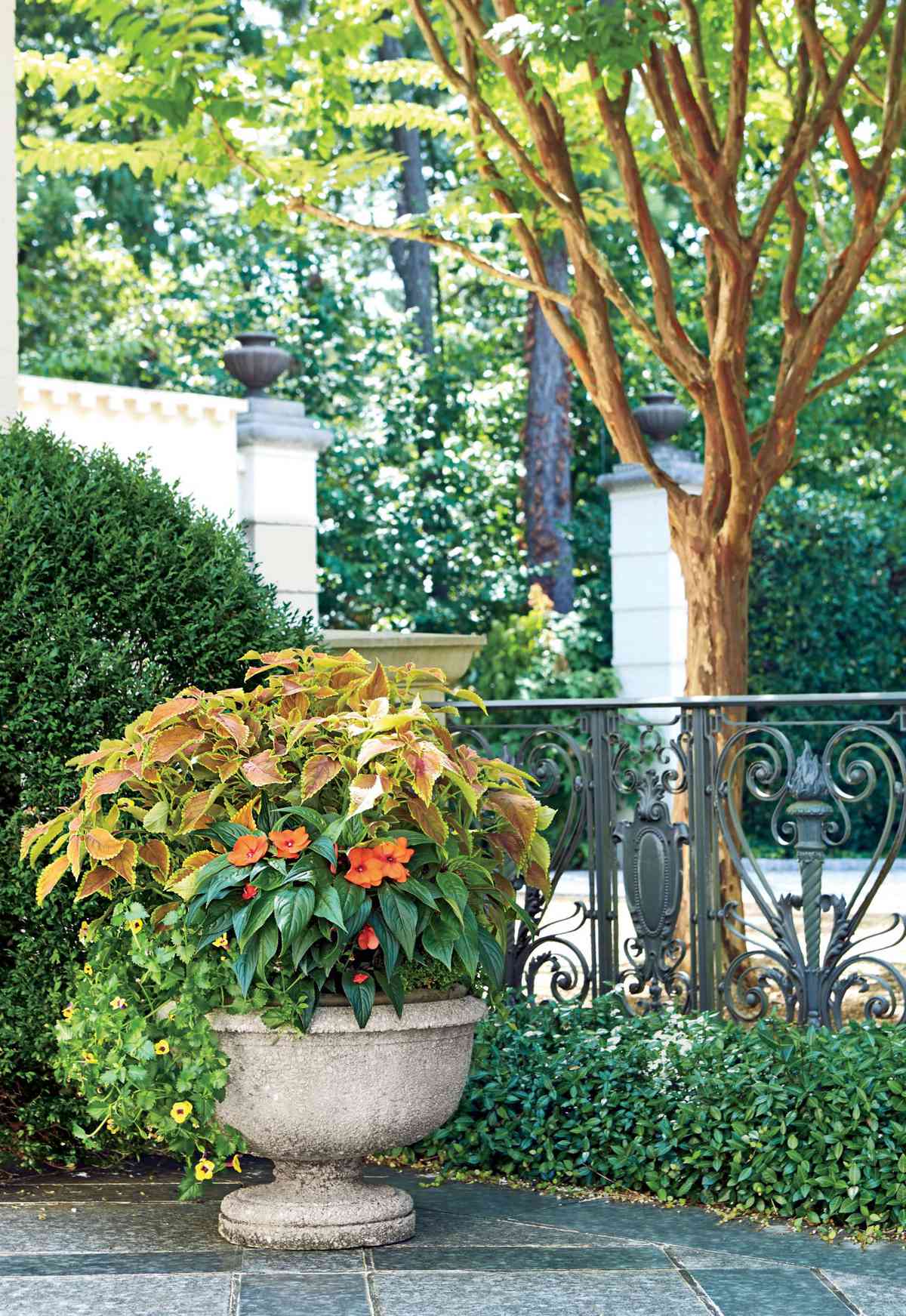  Container Gardening Ideas Southern Living