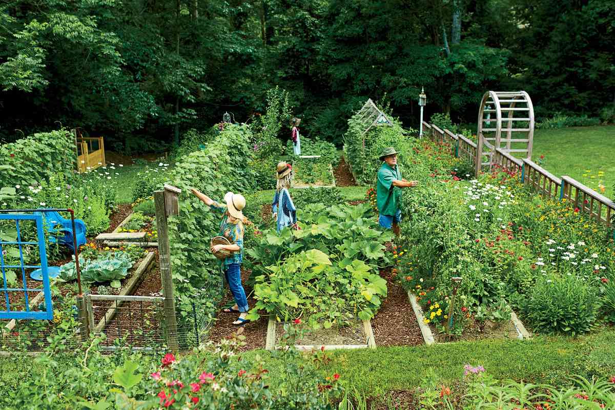 Steal These Secrets For Growing Your Own Veggie Patch Southern