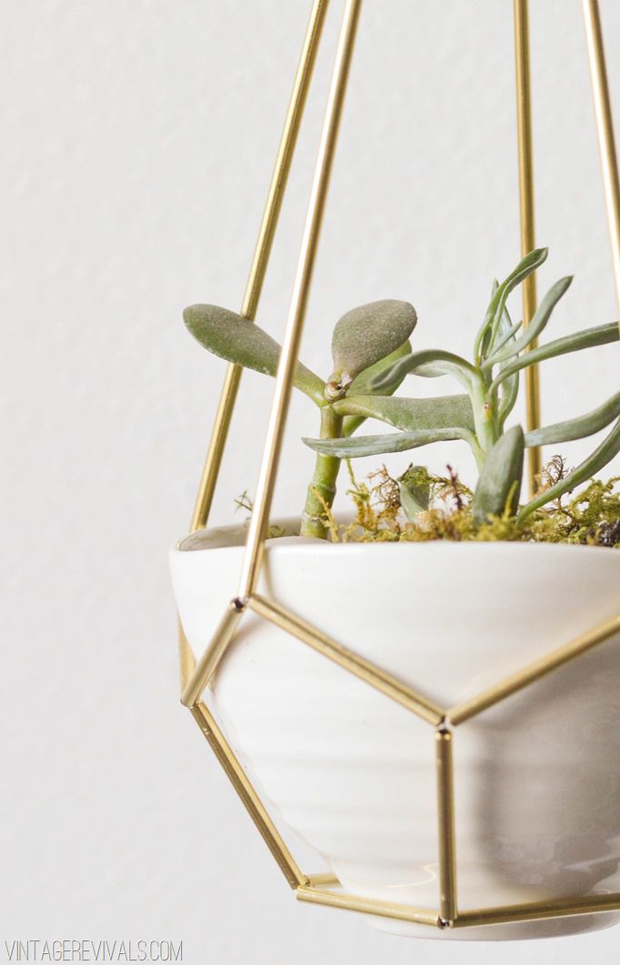 Brass and Leather Planter