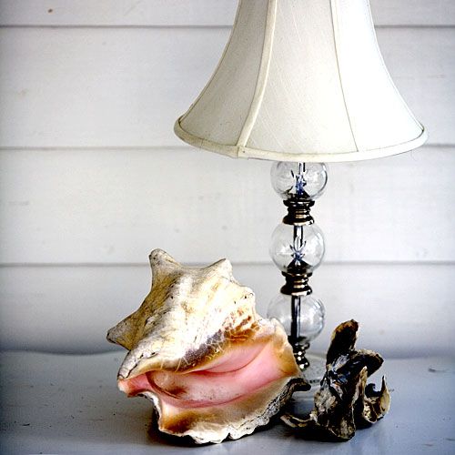 Conch Shell with Lamp