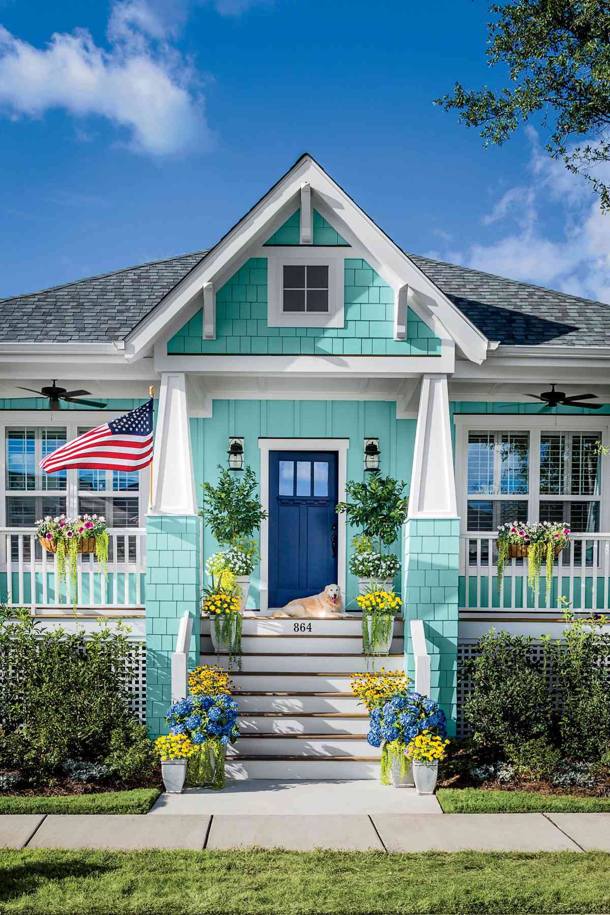 Teal Blue House with Navy Blue Front Door and Dog