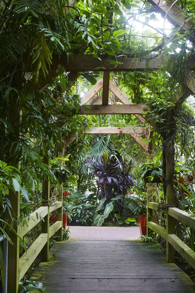 Myriad Botanical Gardens & Crystal Bridge Tropical Conservatory