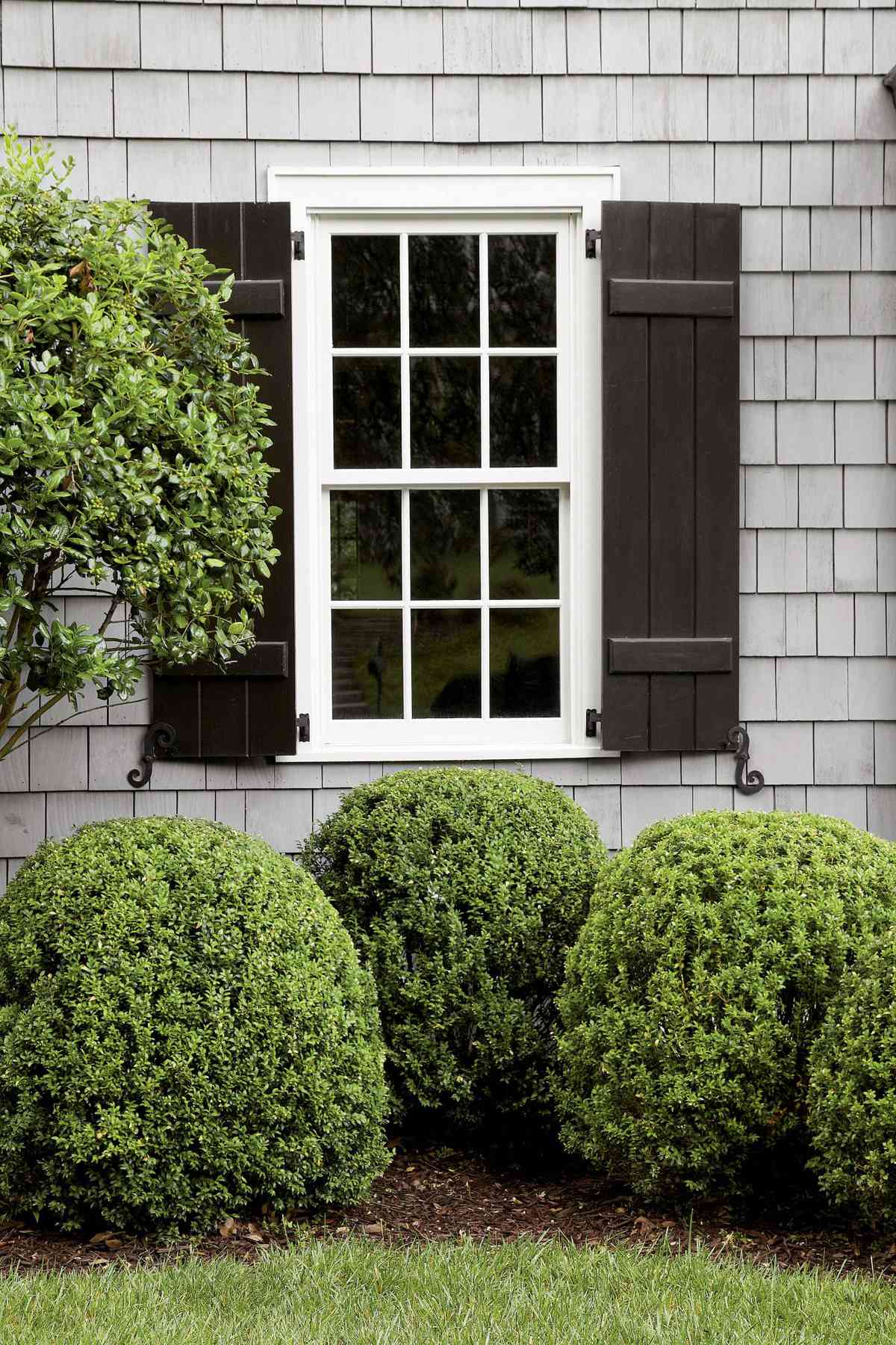 Get Shutters Right