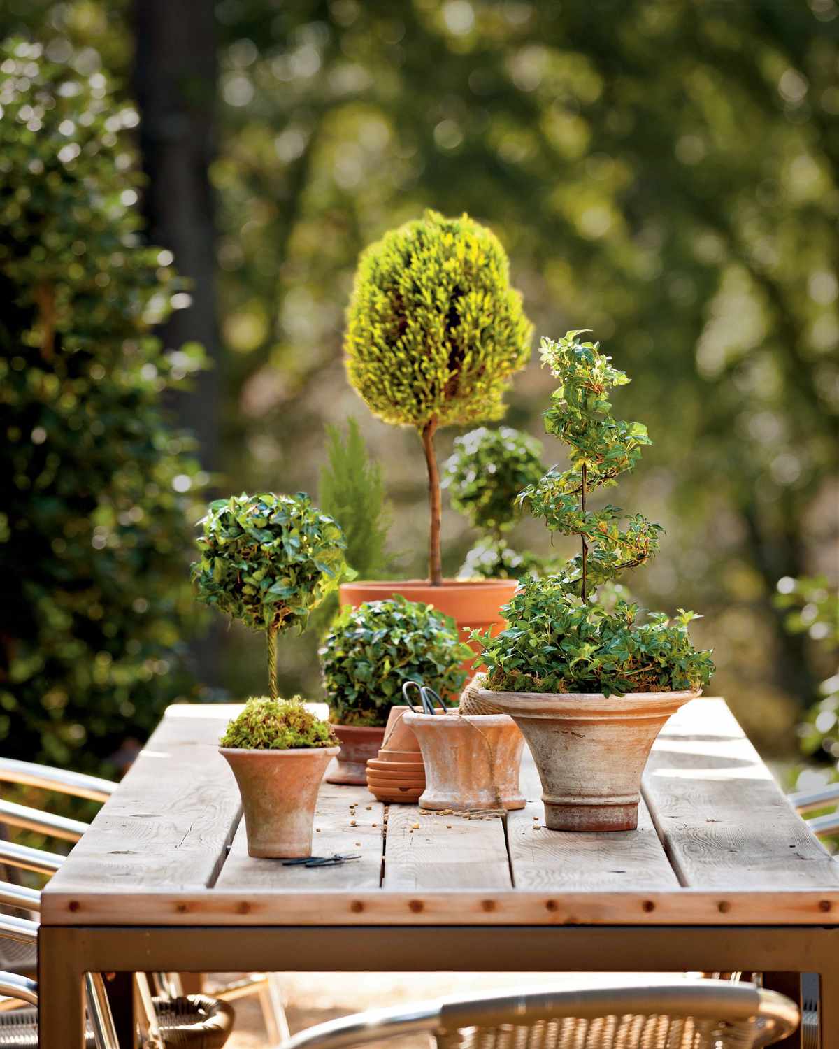 Mix and Match Topiary Tree Sizes