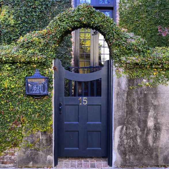 Ivy Covered Gate