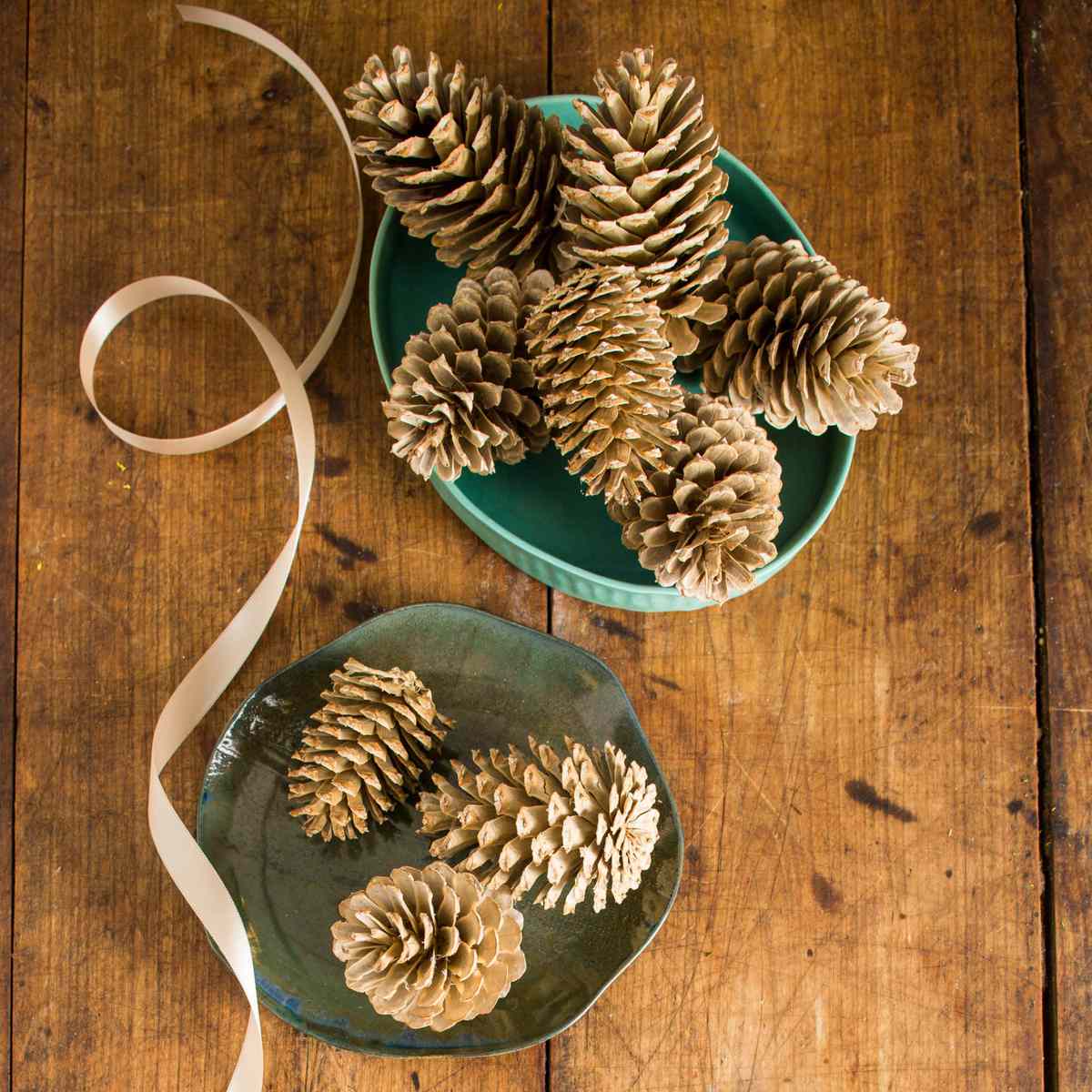 Bleached Pinecones