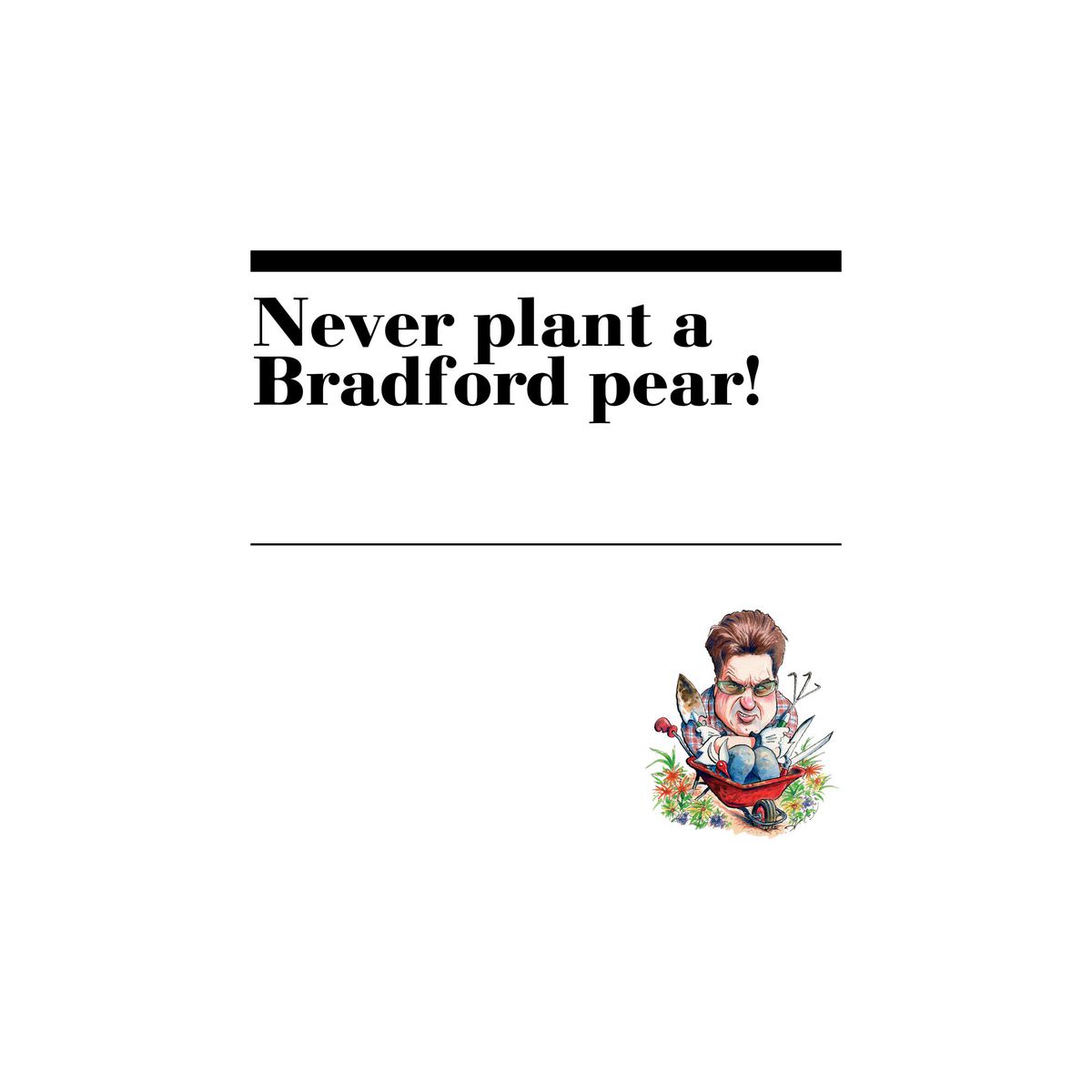 12. Never plant a Bradford pear!