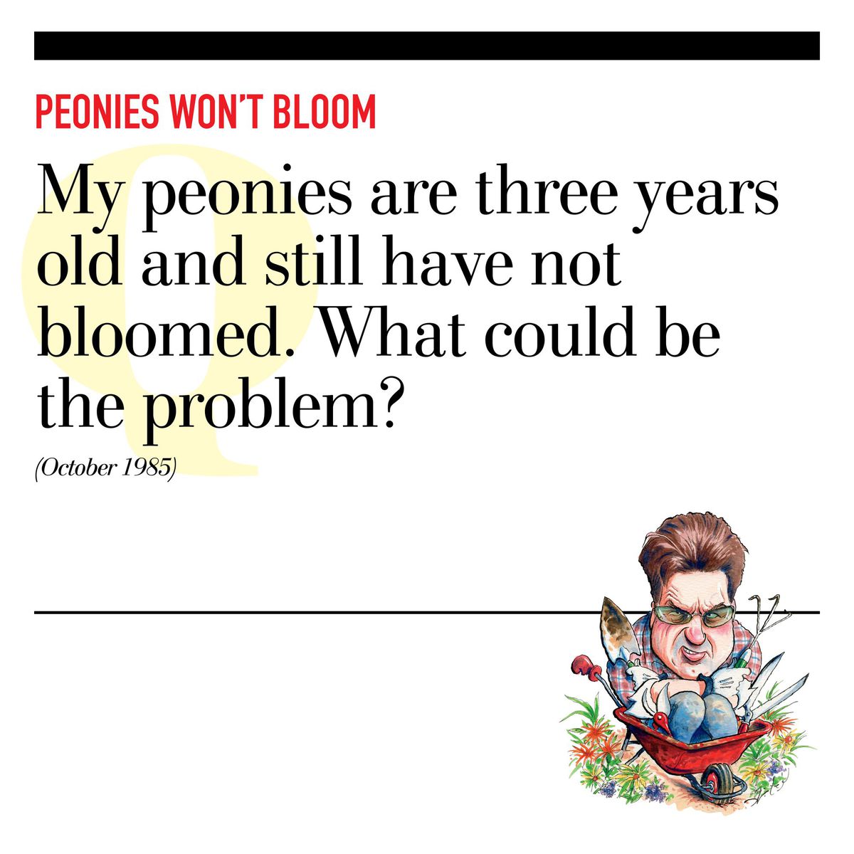 Peonies Won’t Bloom