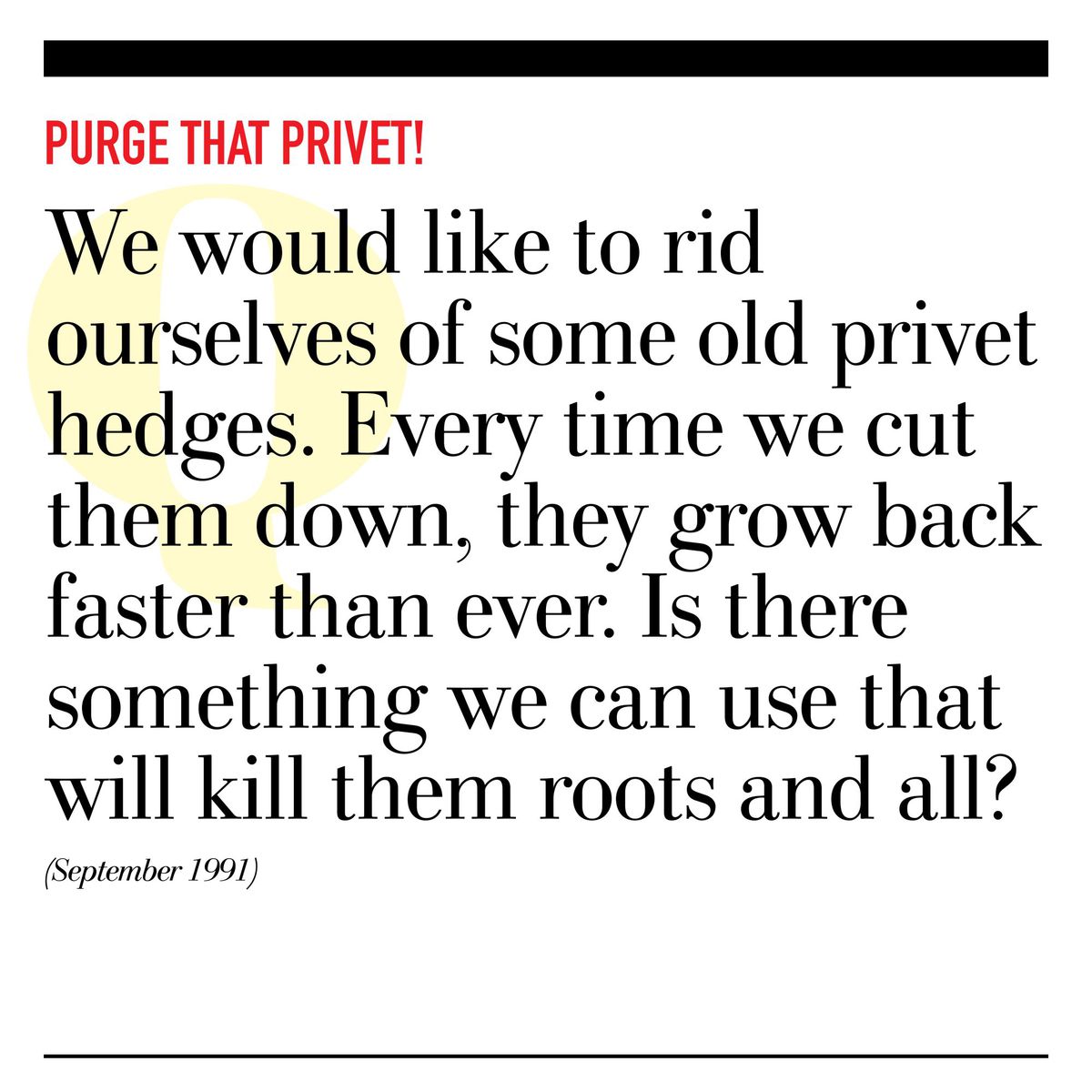 Purge That Privet!