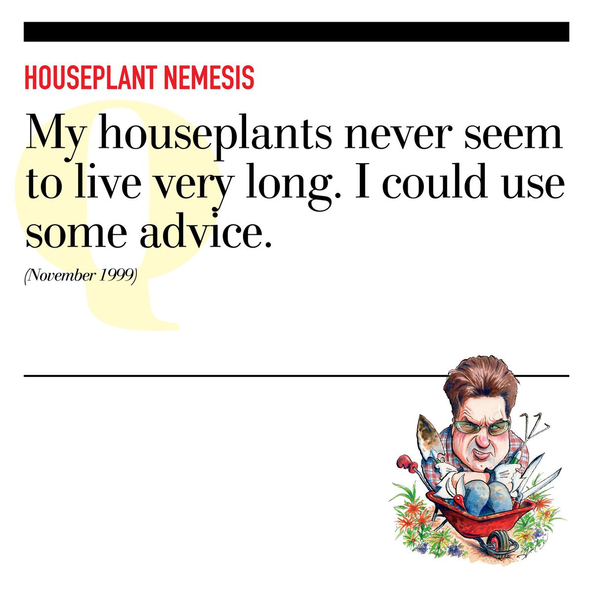 Houseplant Nemesis