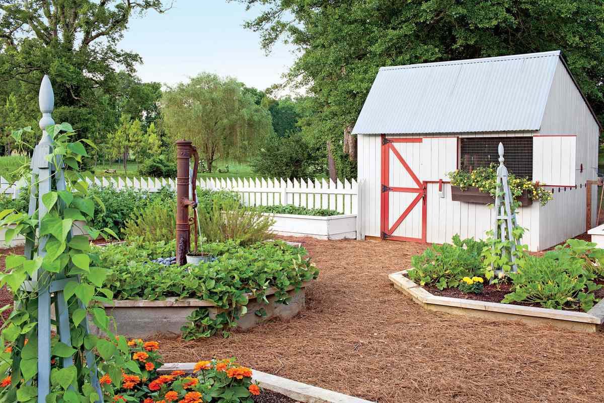 Red and White Backyard Chicken Coop