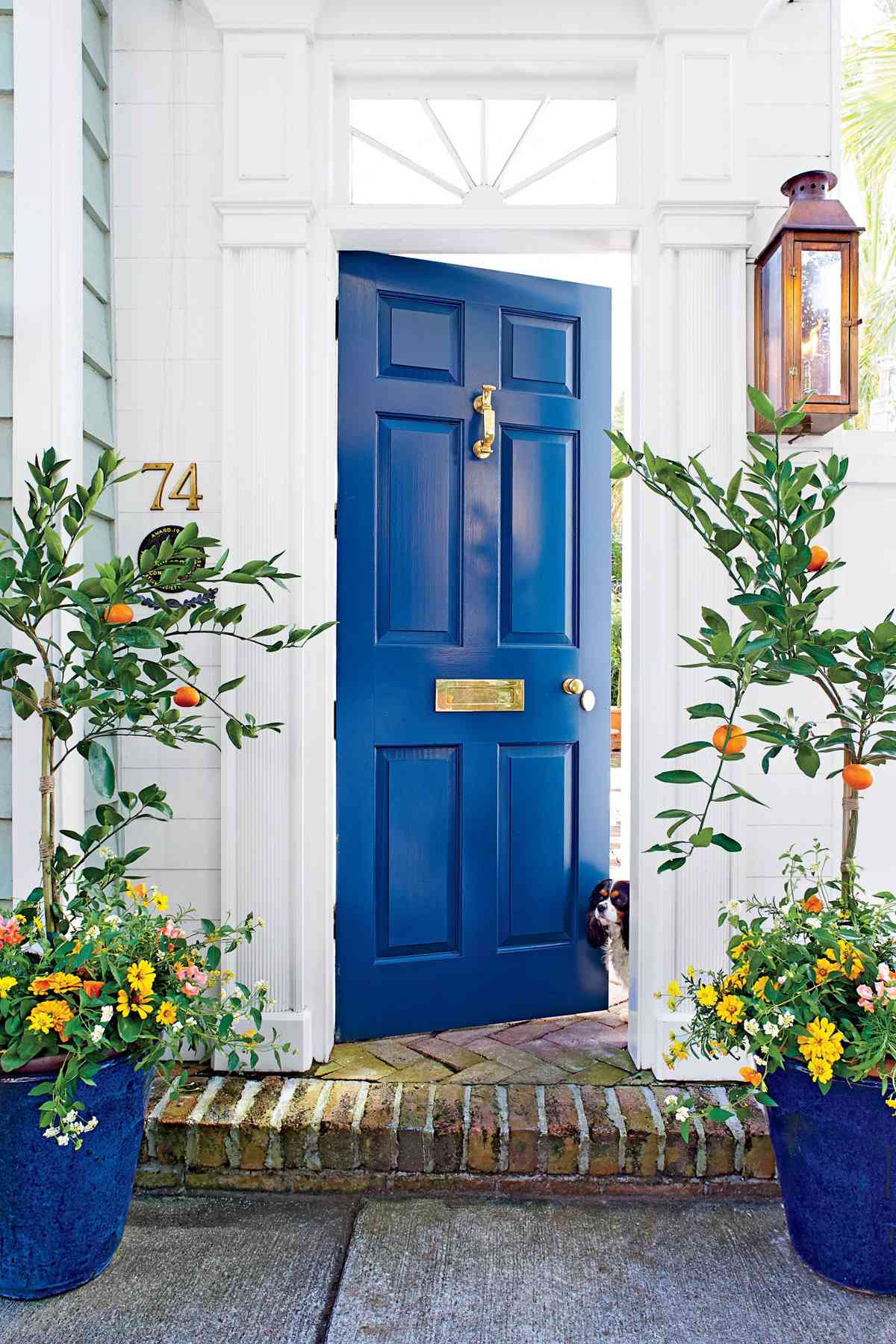Charleston China Blue Front Door