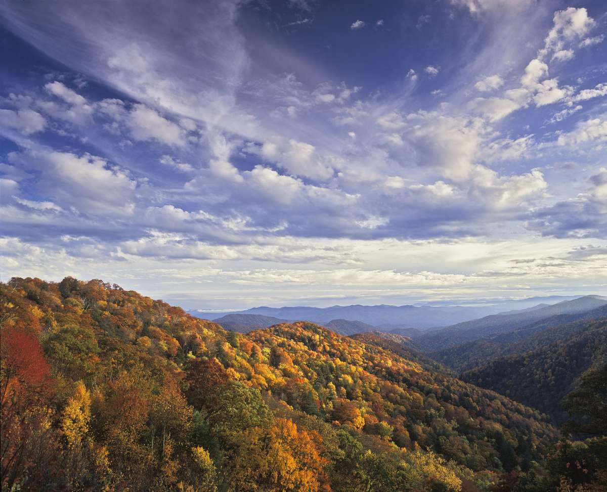 Great Smoky Mountains National Park Fall Color