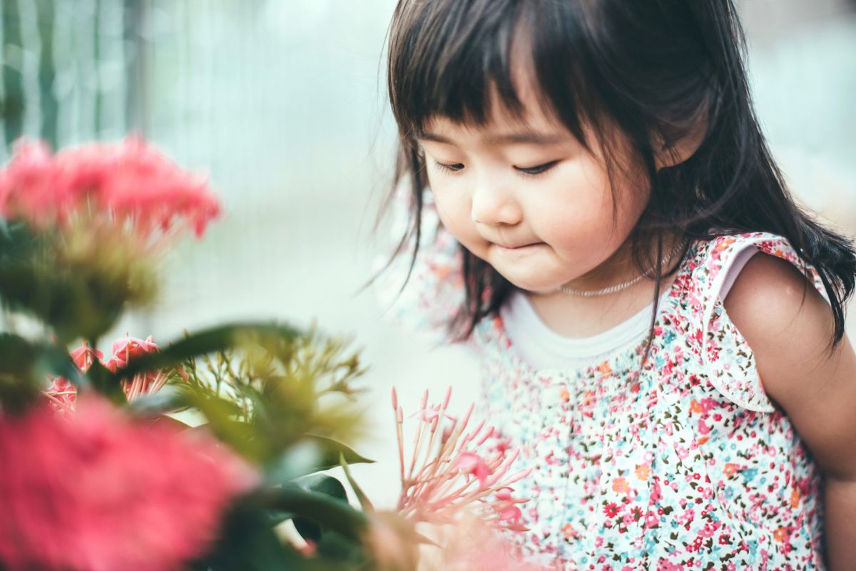 Toddler girl smelling a red flower