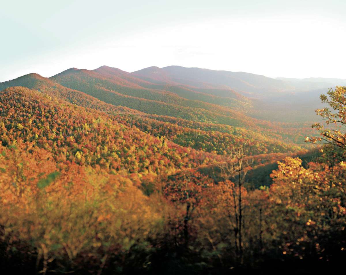 Pisgah National Forest. Appalachian Mountains in fall color.