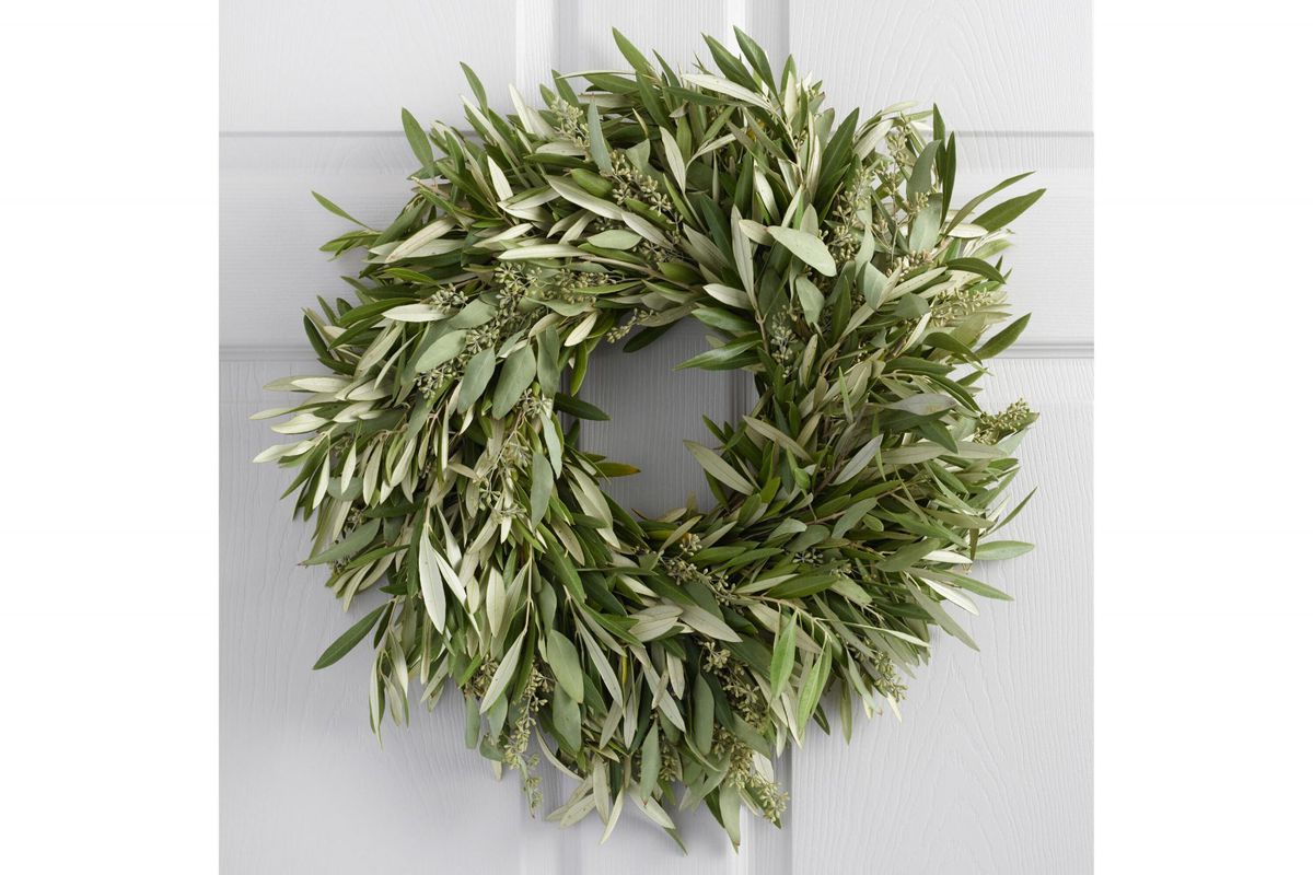 Live Olive and Eucalyptus Wreath