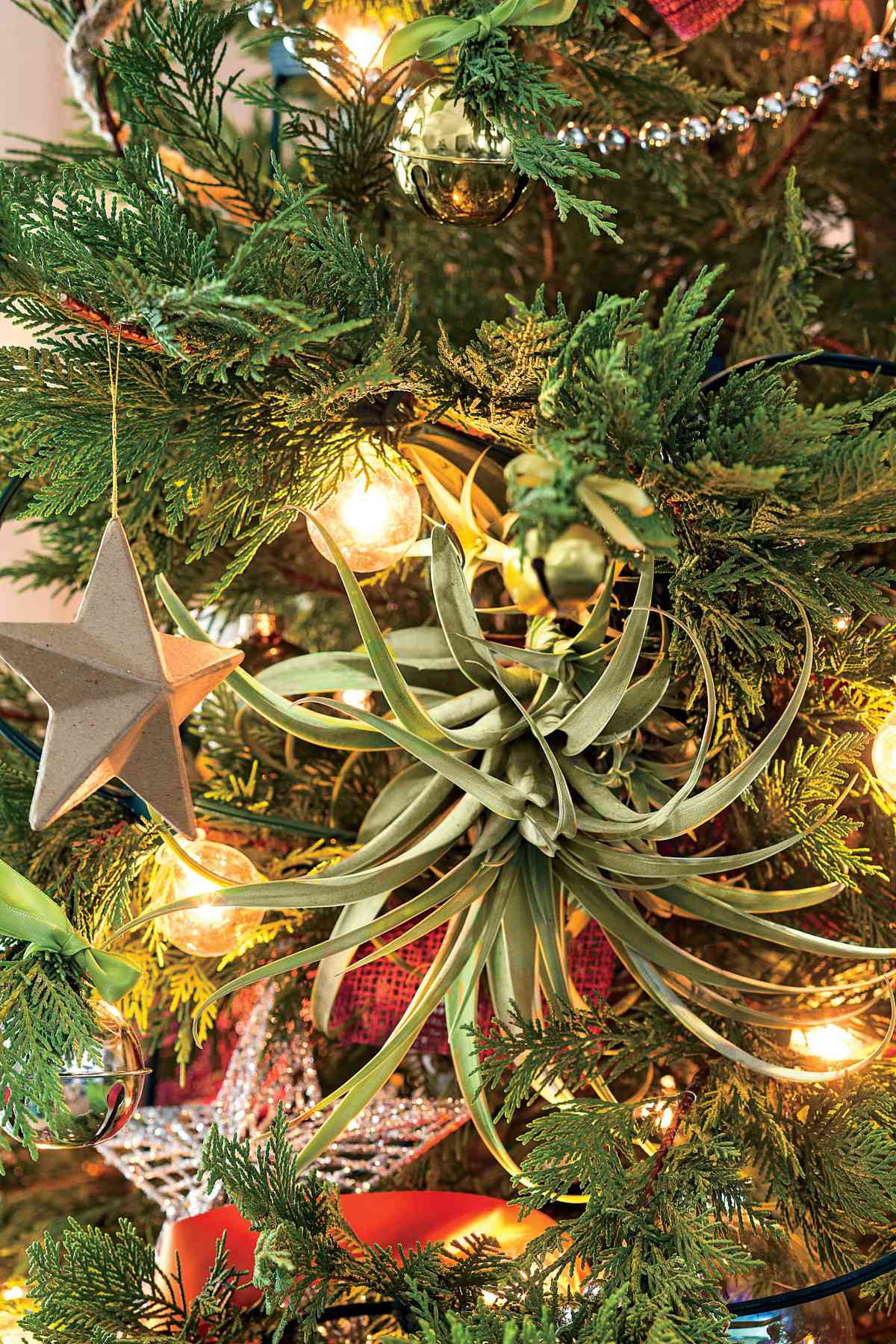 Texas Star Christmas Tree