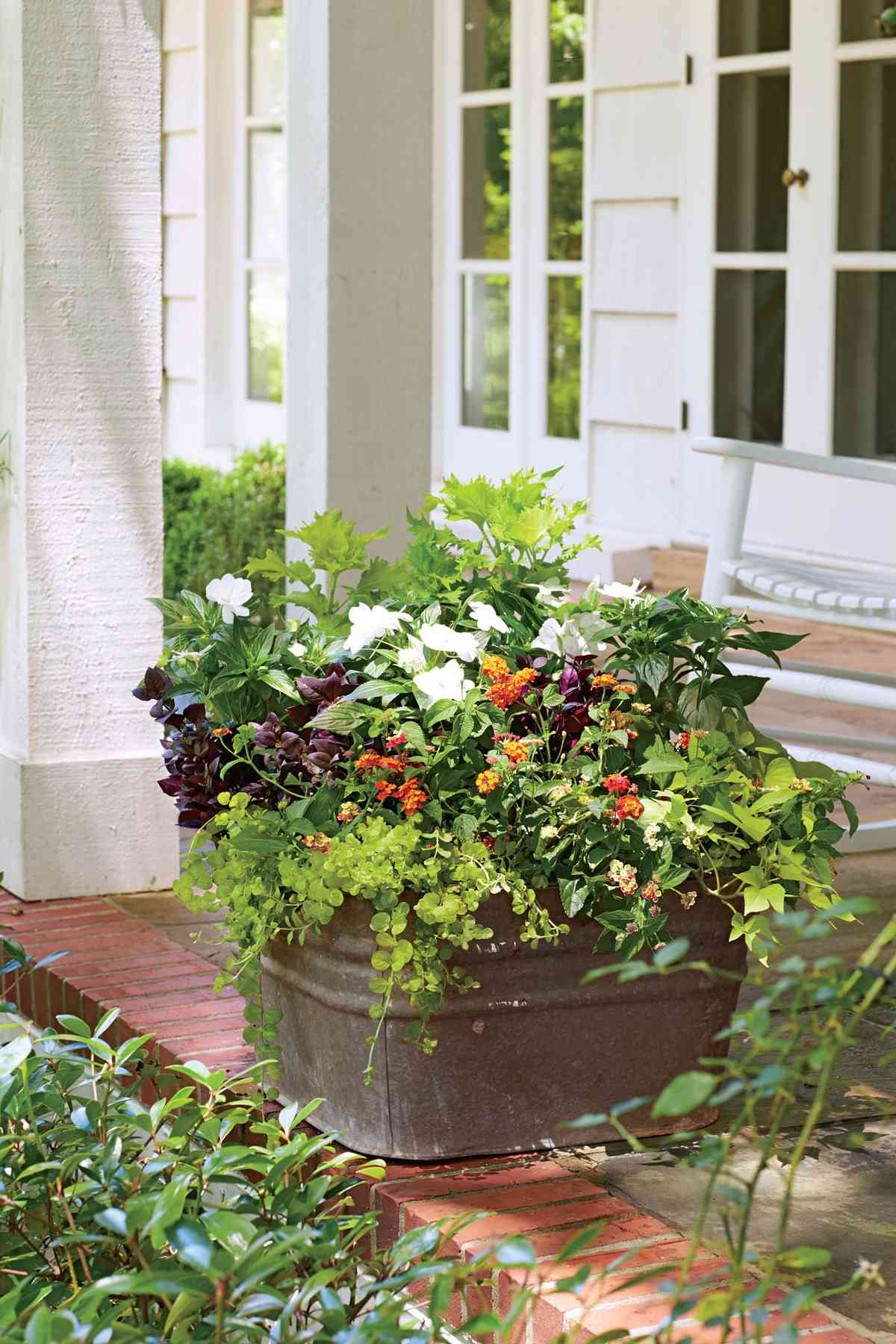 Cultivate Container Style
