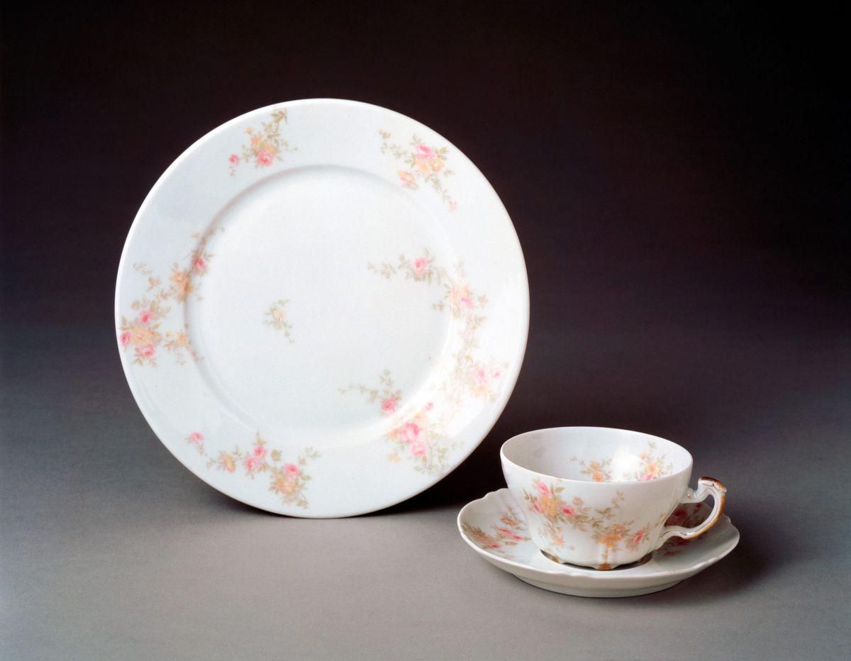 Presidential China With Pink Roses