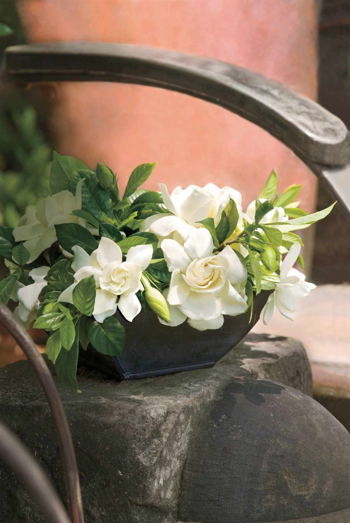 Gardenia Bowl