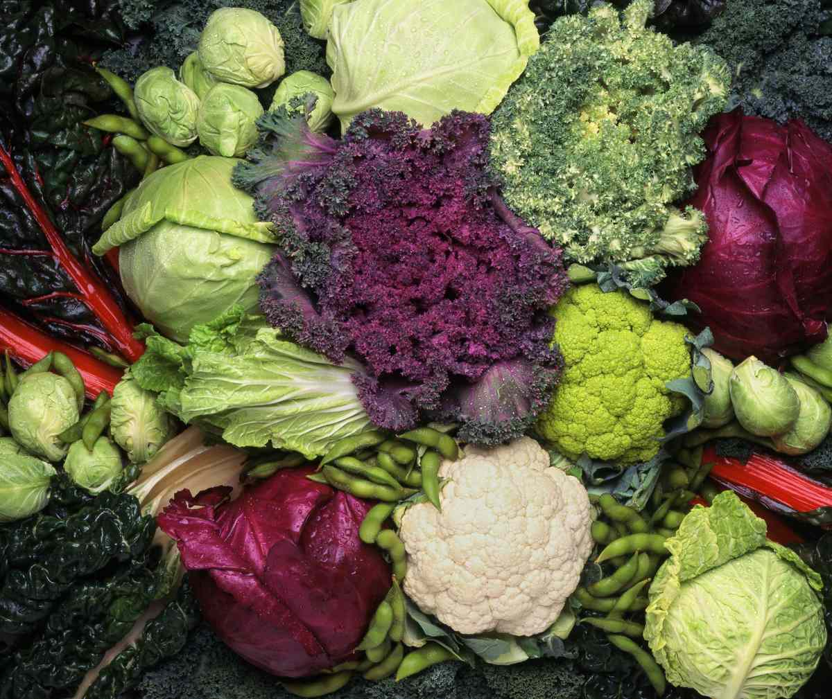 Kale, Cauliflower, Brussels Sprouts, and Other Cruciferous Vegetables