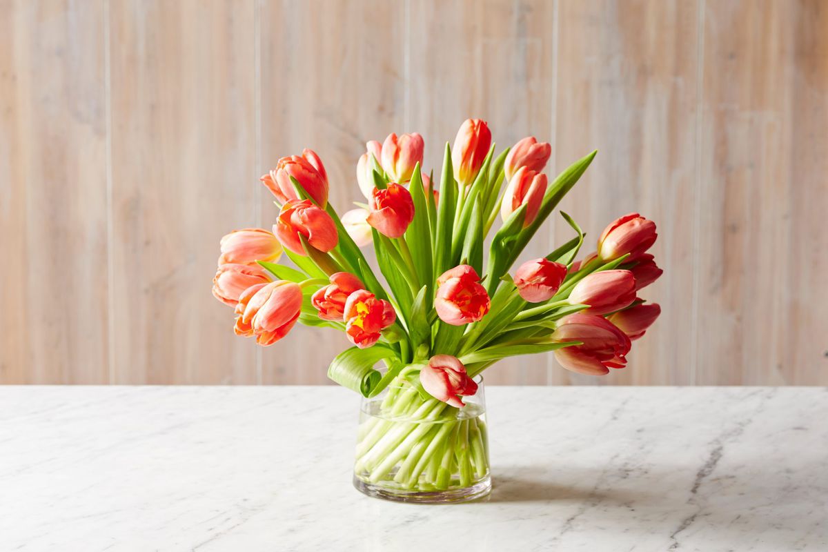 Peachy Tulips