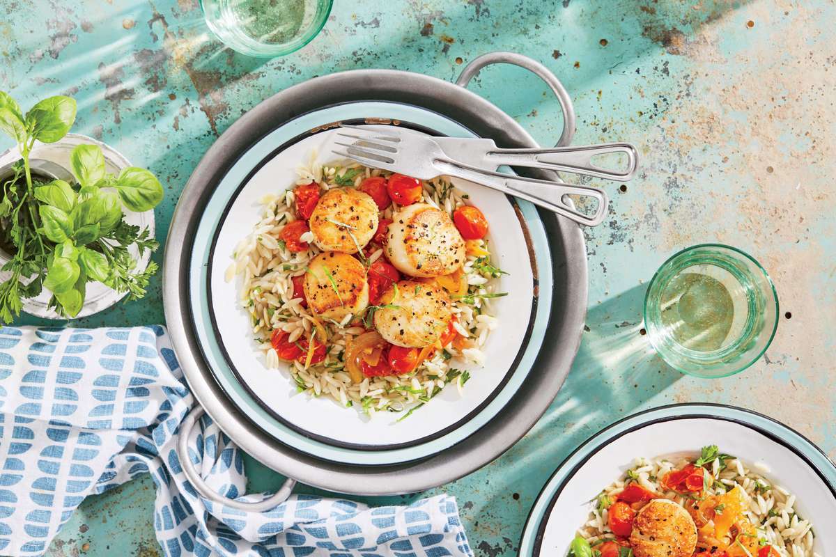Seared Scallops with Fresh Tomato-Basil Sauce and Orzo