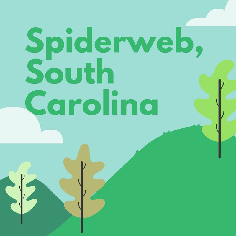 Spiderweb, South Carolina