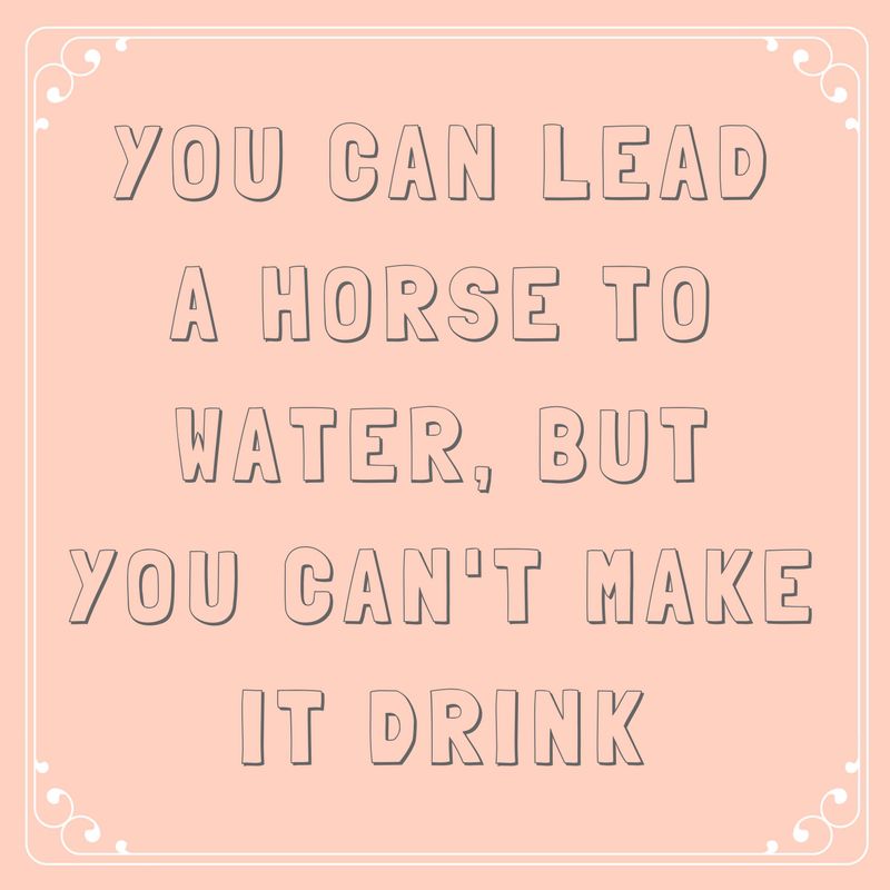 You Can Lead a Horse to Water, But You Can’t Make It Drink