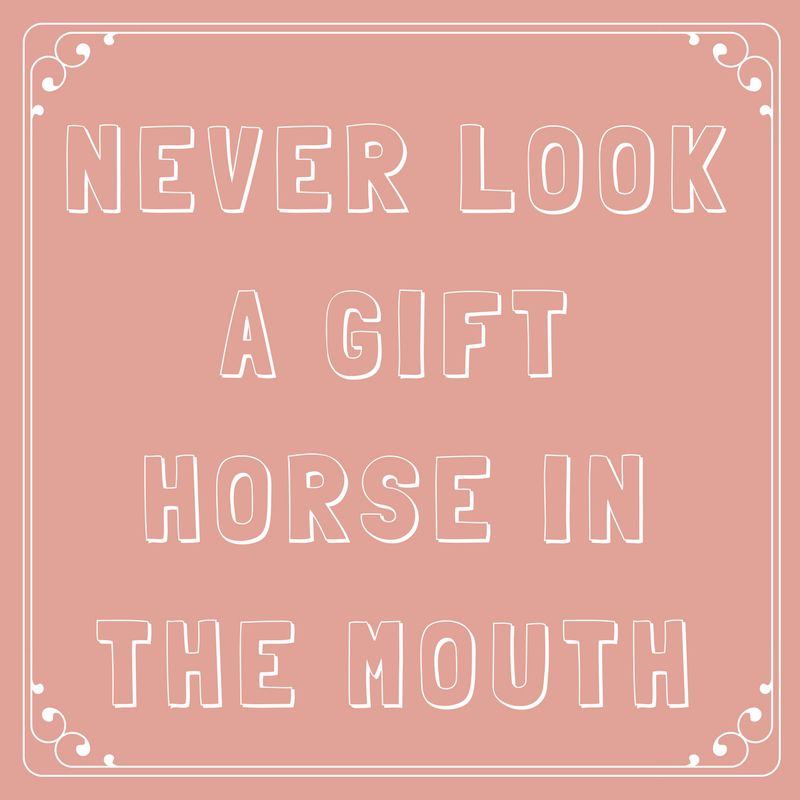 Never Look a Gift Horse in the Mouth