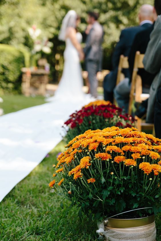 Incredible Ways to Decorate with Mums Use Them at Your Fall Wedding