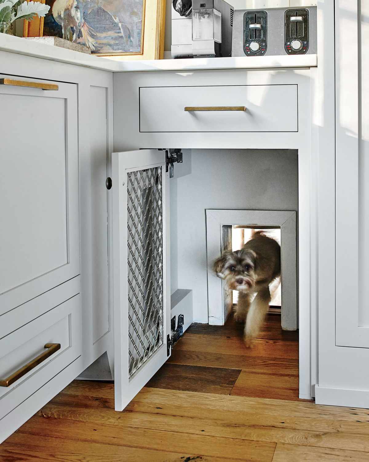 Doggy Door Hidden Behind Kitchen Cabinet