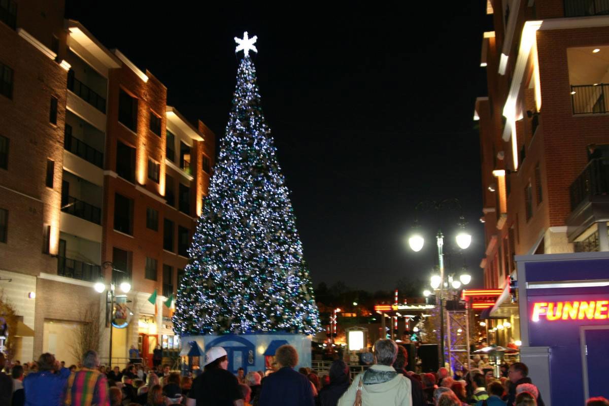 See over 1,000 gussied-up Christmas trees around the town.