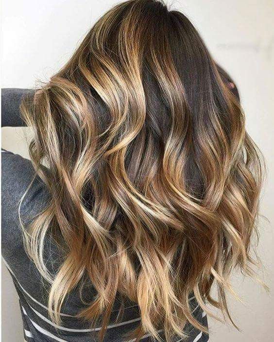 Tortoiseshell Brown Hair with Honey Blonde Highlights