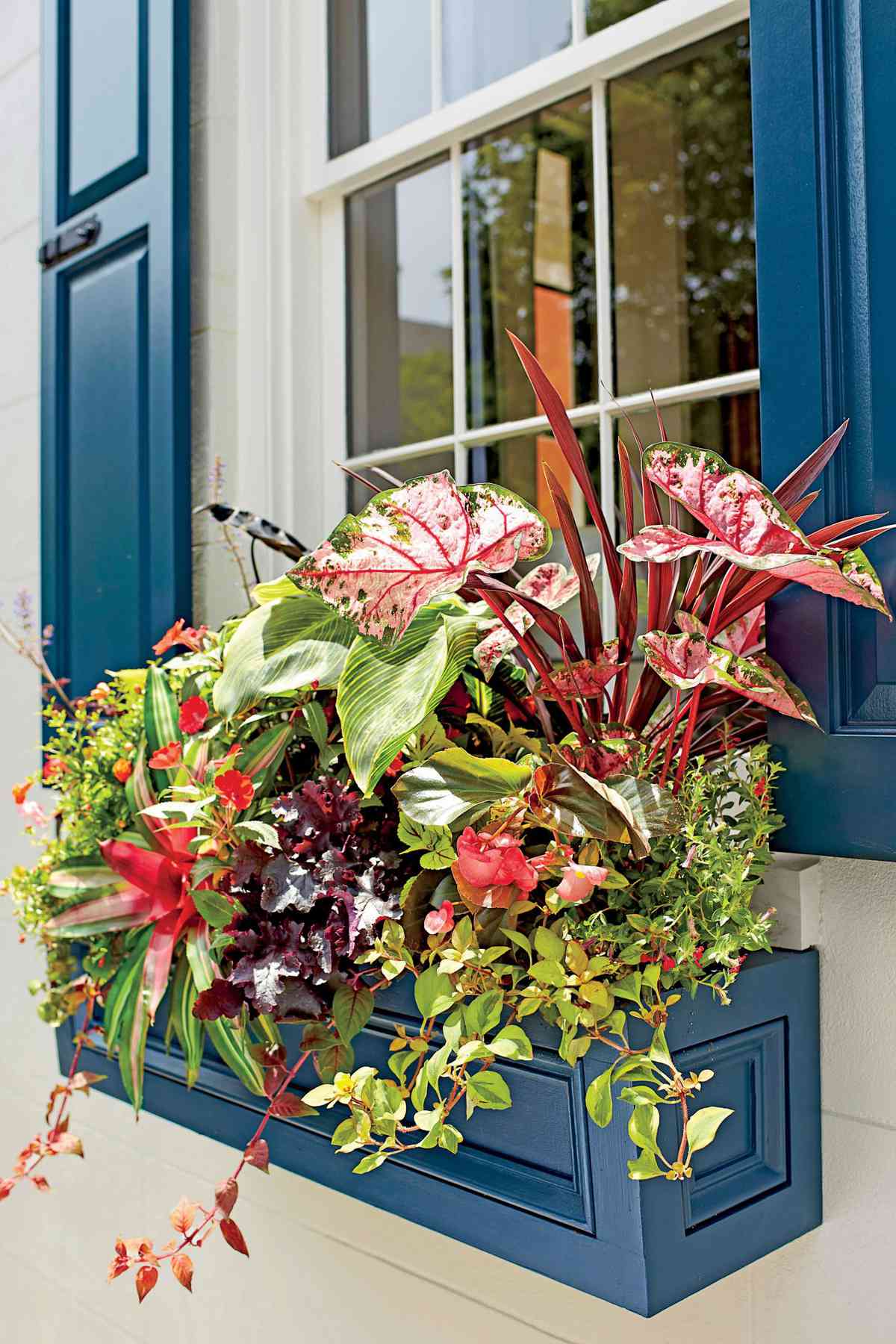Wow with Window Boxes