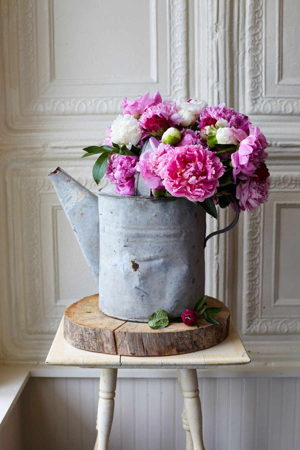 Peonies in a Watering Can